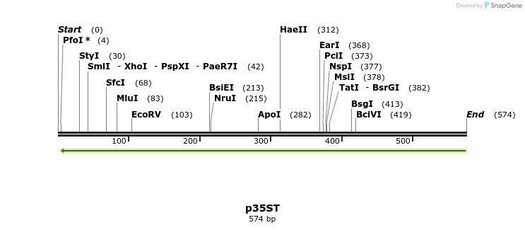 80074_map