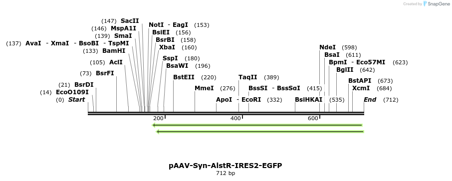 80075_map