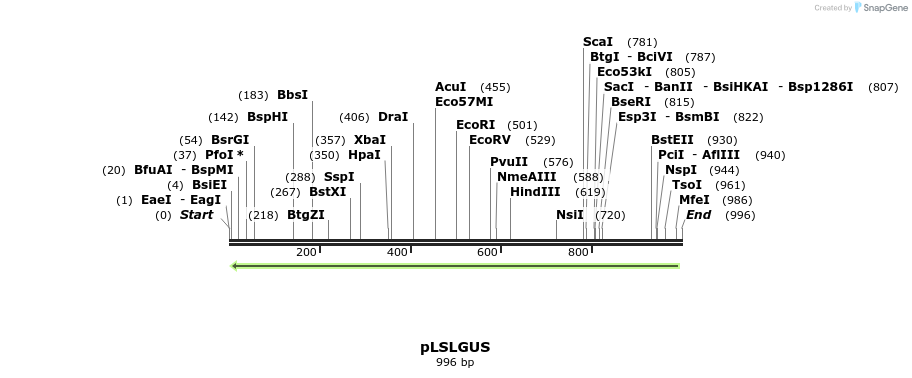 80076_map