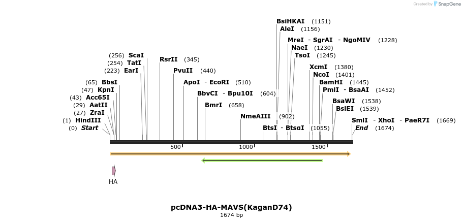 80077_map