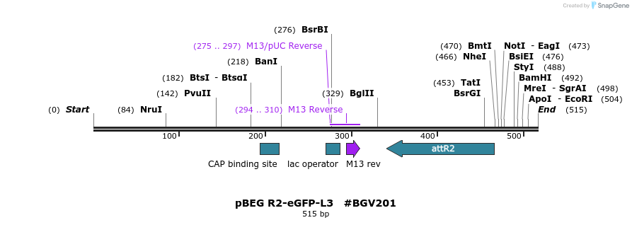 80078_map