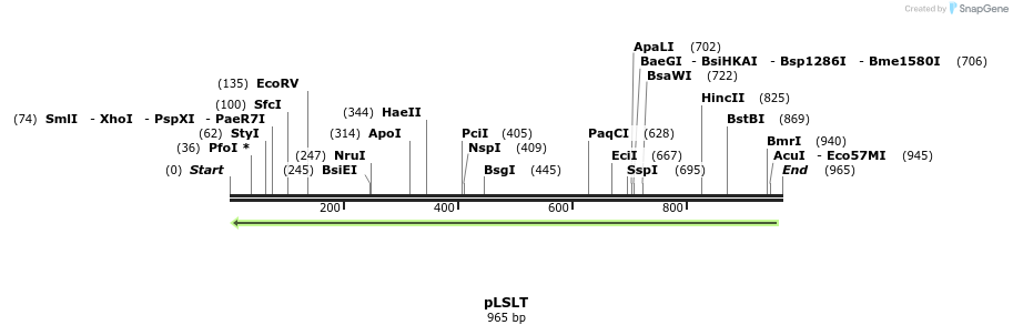 80082_map