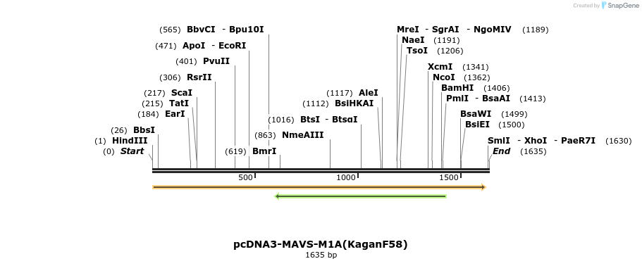 80085_map
