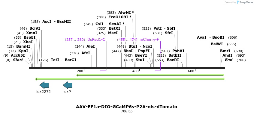 80088_map