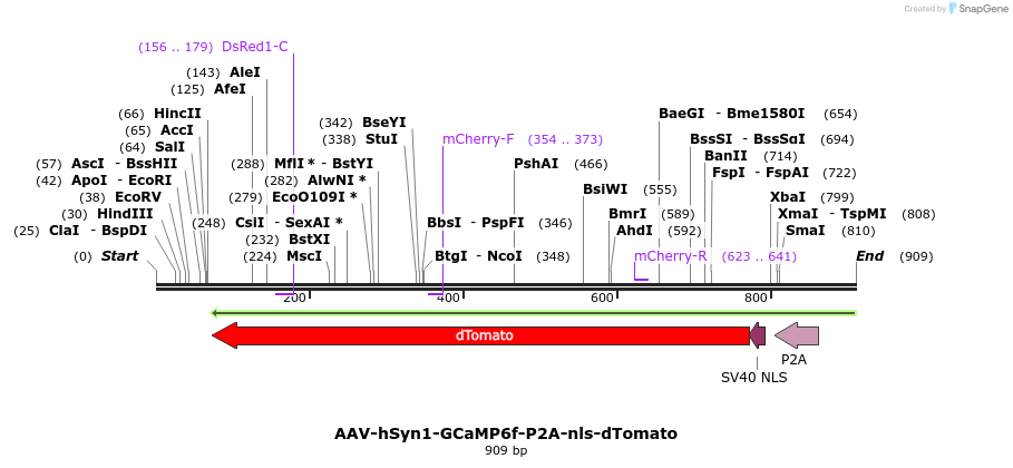 80090_map