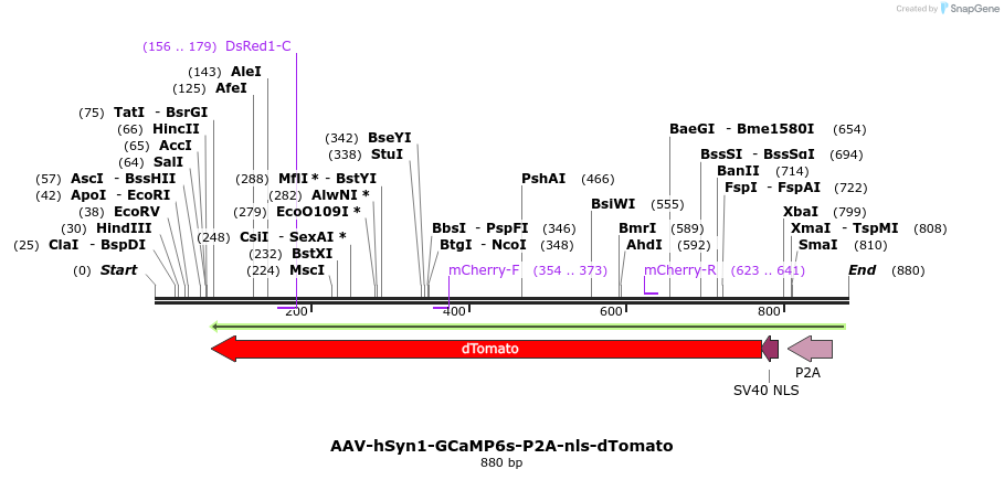 80091_map
