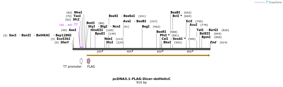 80092_map