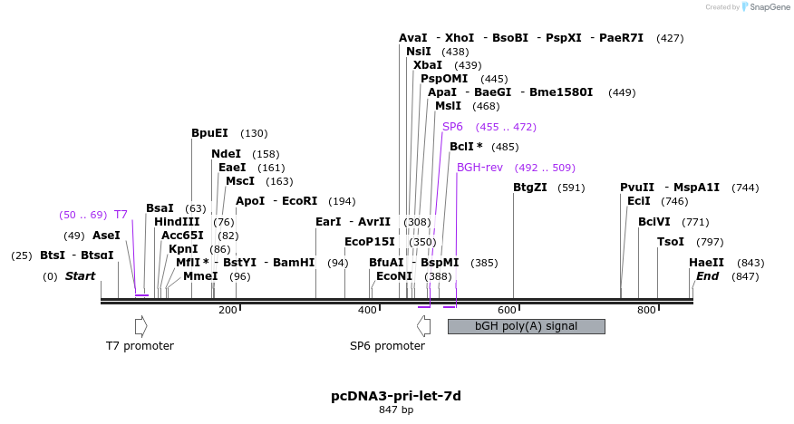 80093_map