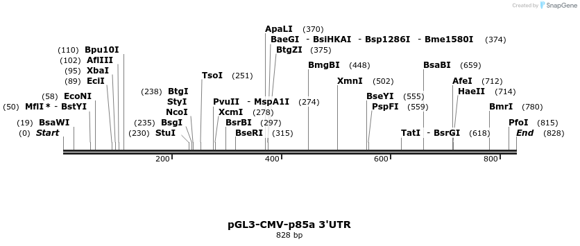 80094_map