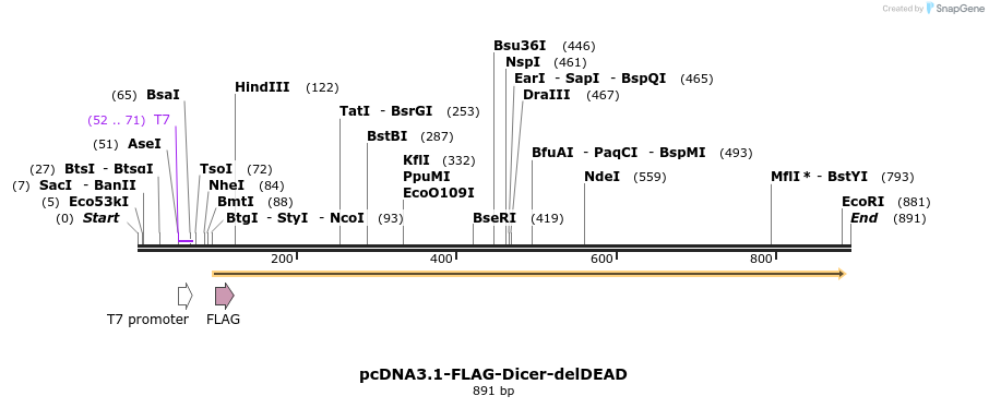 80104_map