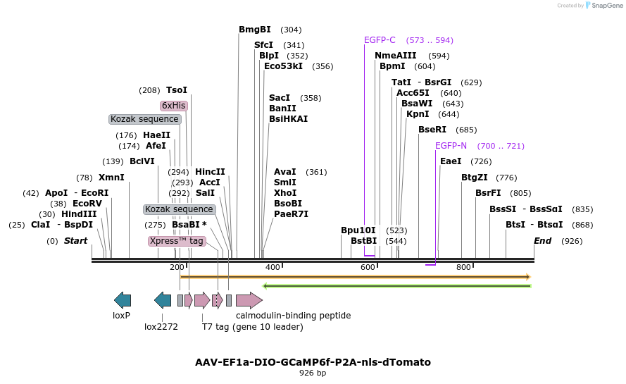 80107_map