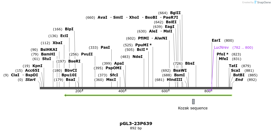 80109_map