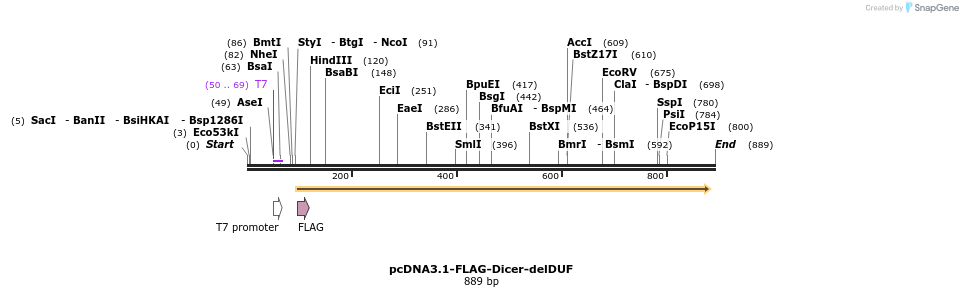 80113_map
