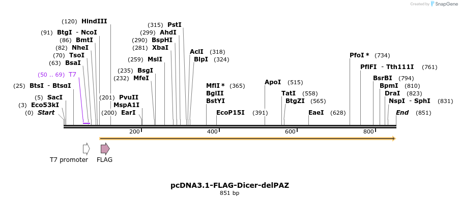 80115_map