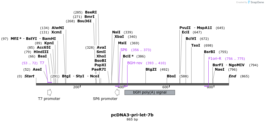 80116_map
