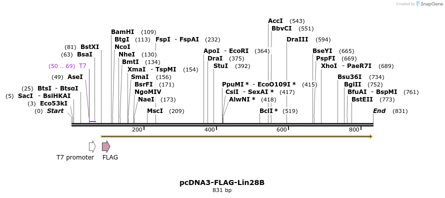 80117_map