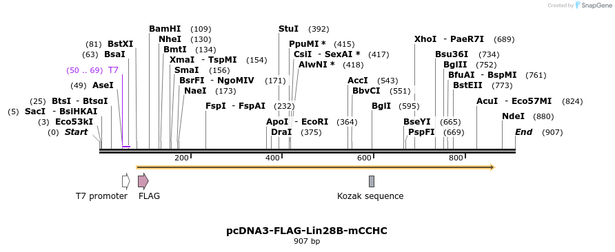 80118_map