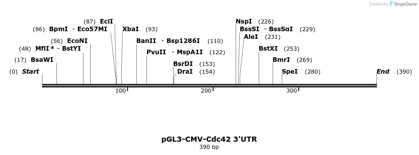 80120_map