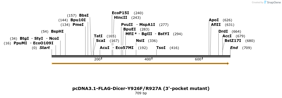 80123_map