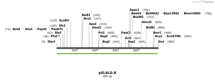 80125_map