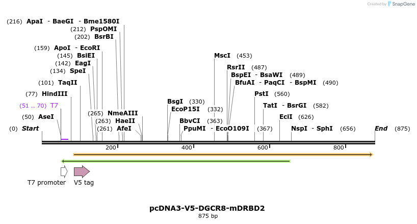 80126_map