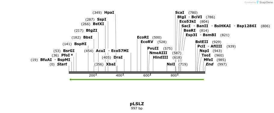 80127_map