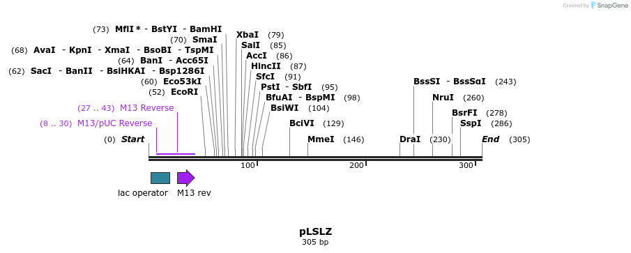 80128_map