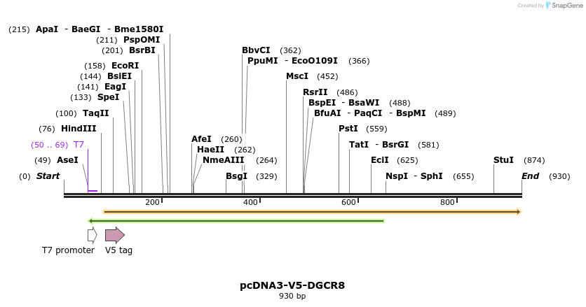 80130_map