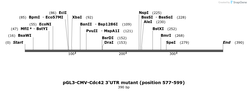 80132_map