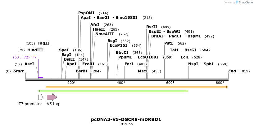 80133_map