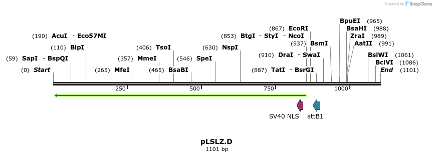 80135_map