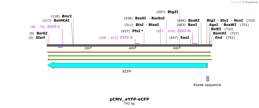 80139_map