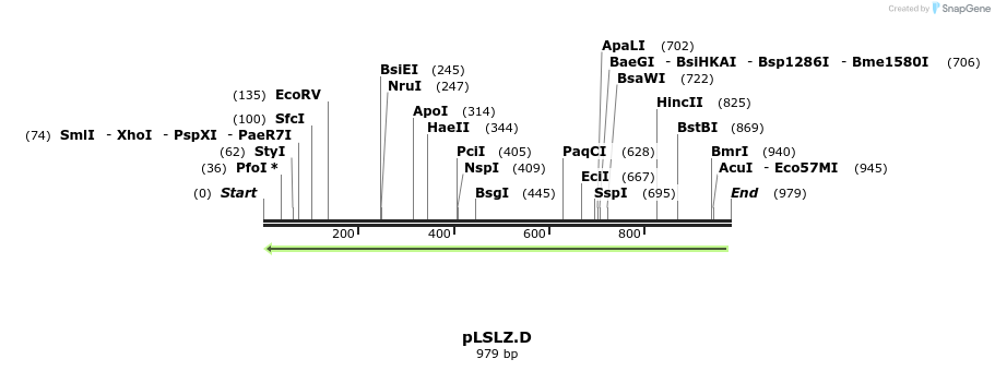 80141_map