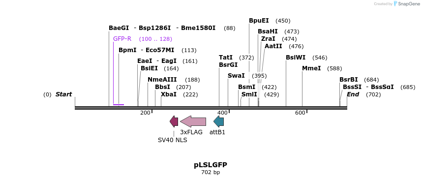 80146_map