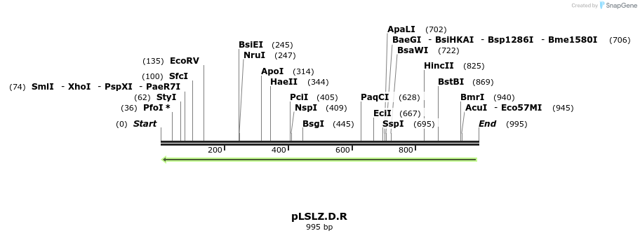 80149_map