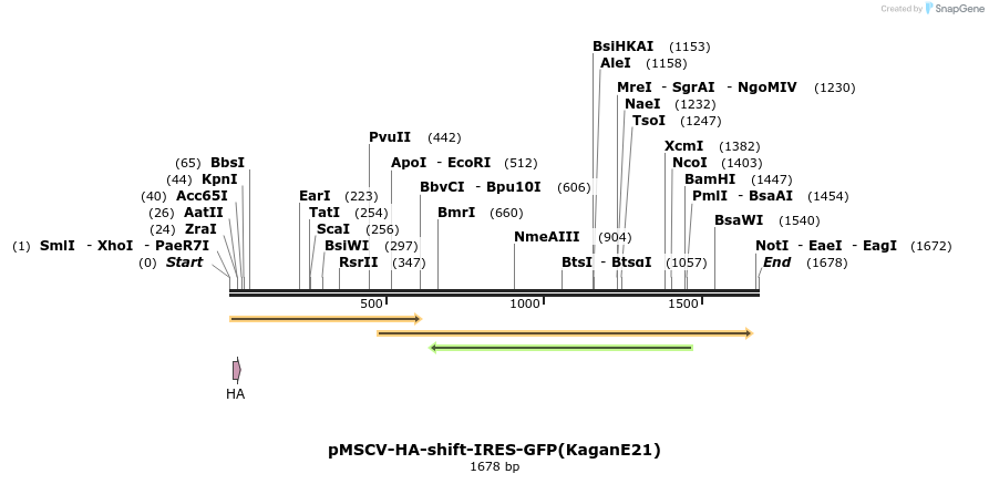 80151_map