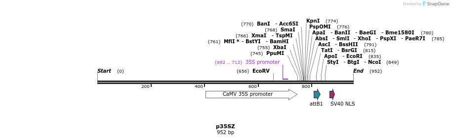 80153_map