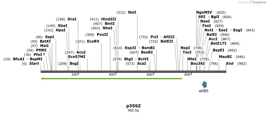 80154_map