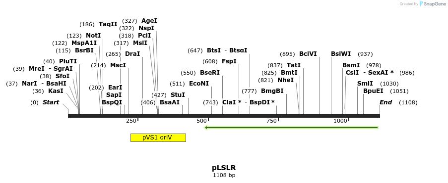 80155_map