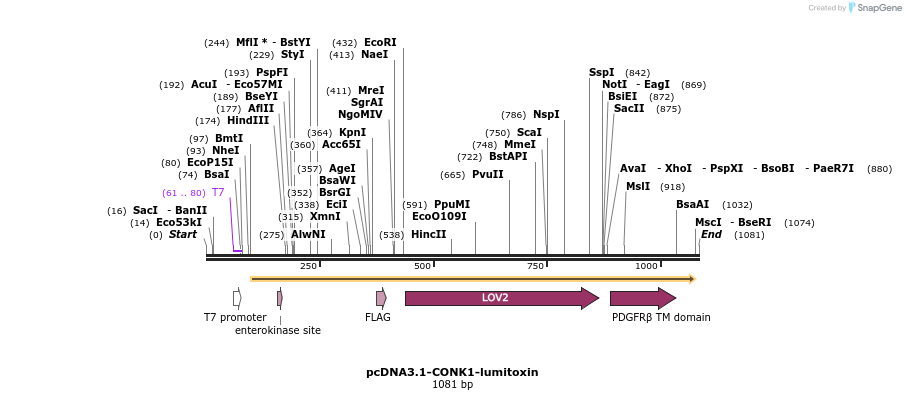 80156_map
