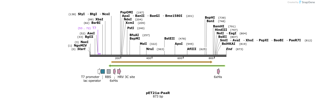 80165_map