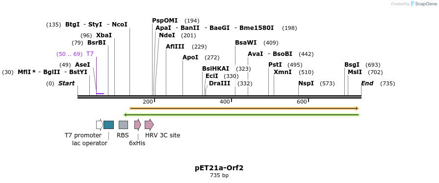 80168_map
