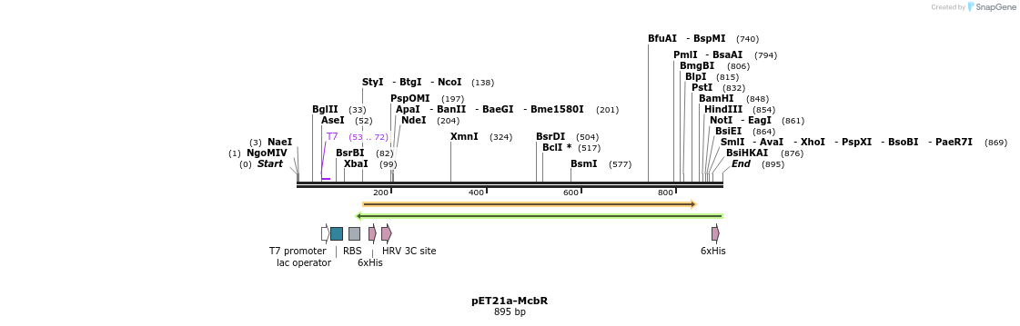80169_map