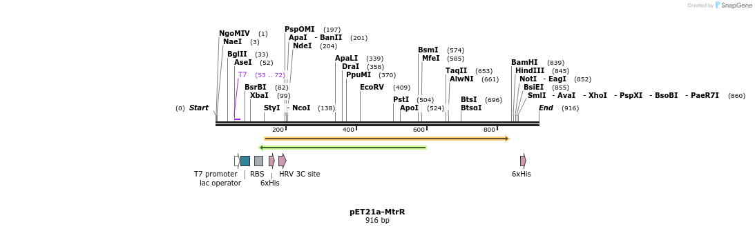 80172_map