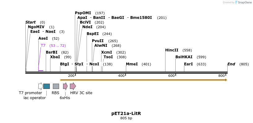 80175_map