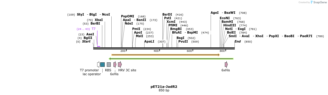 80176_map