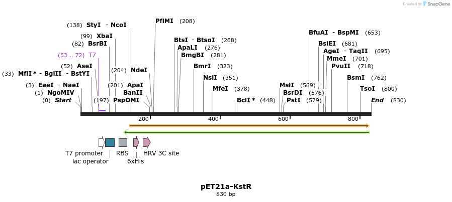 80177_map