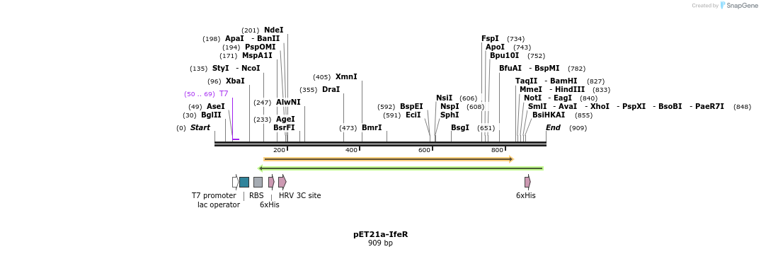 80179_map