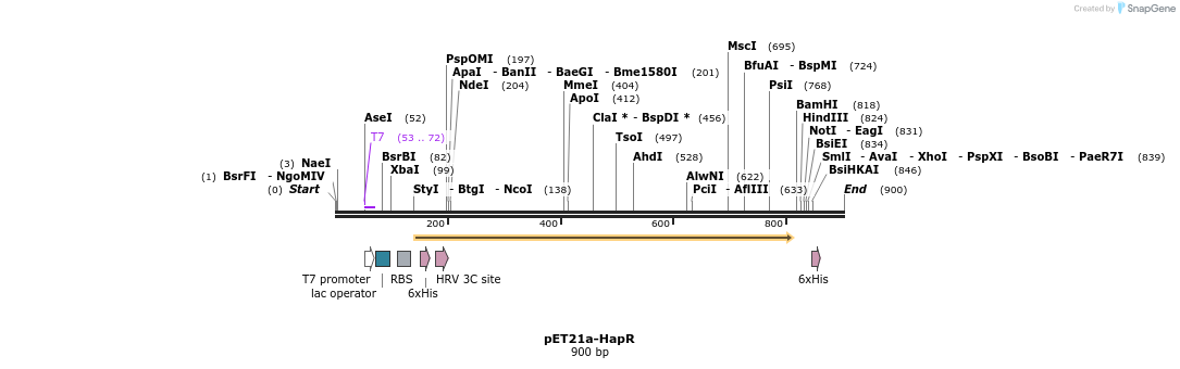80180_map