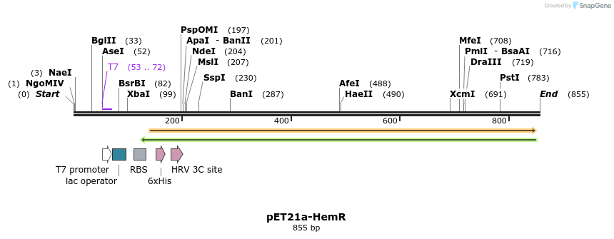 80182_map